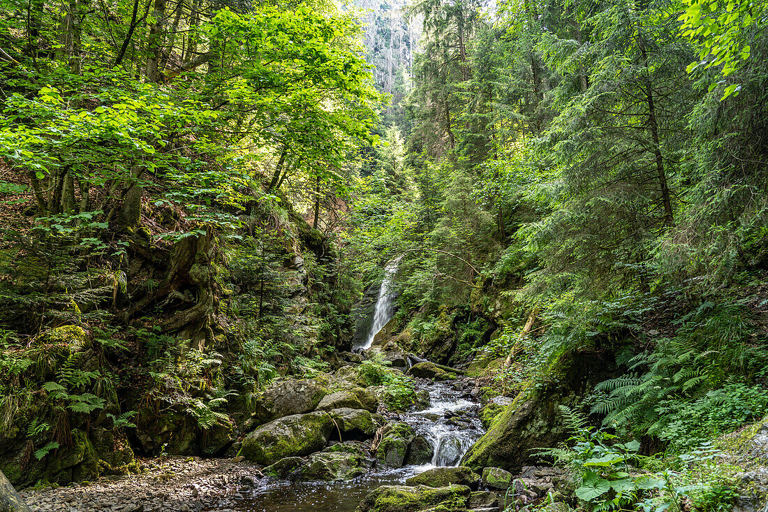 Wasserfall Großer Ravennafall in der Ravennaschlucht bei Breitnau, Schwarzwald, Baden-Württemberg, Deutschland