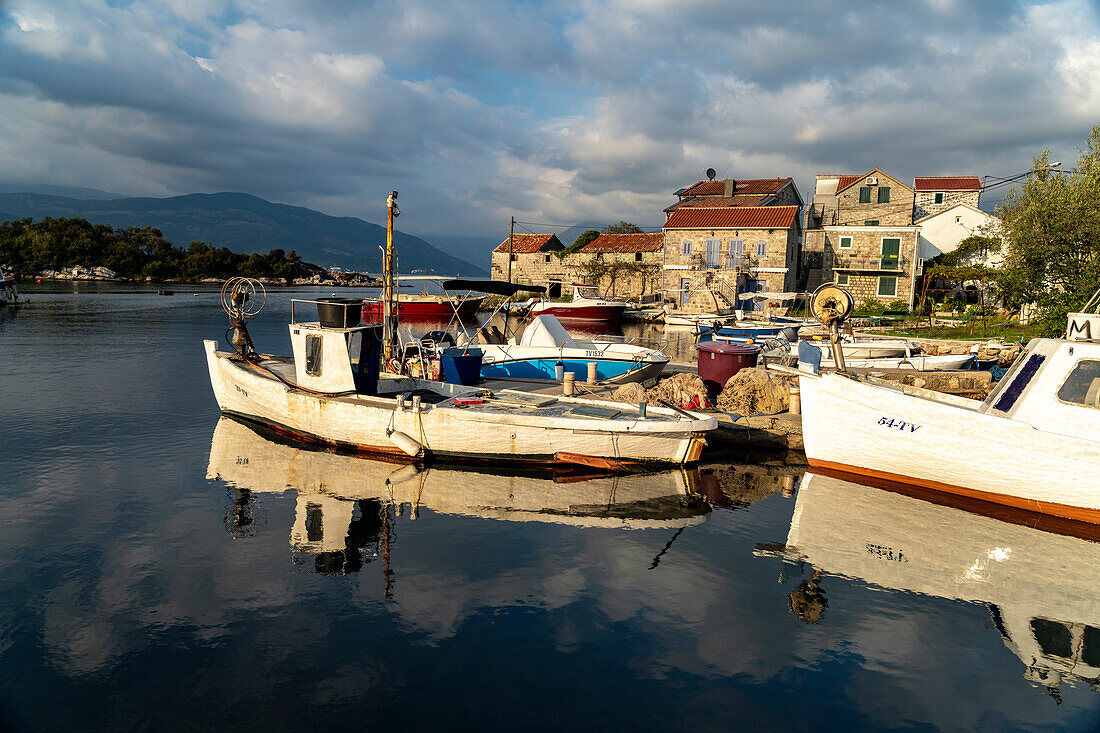 Fishing boats in the small harbor of the fishing village of Bjelila, Luštica Peninsula, Montenegro, Europe