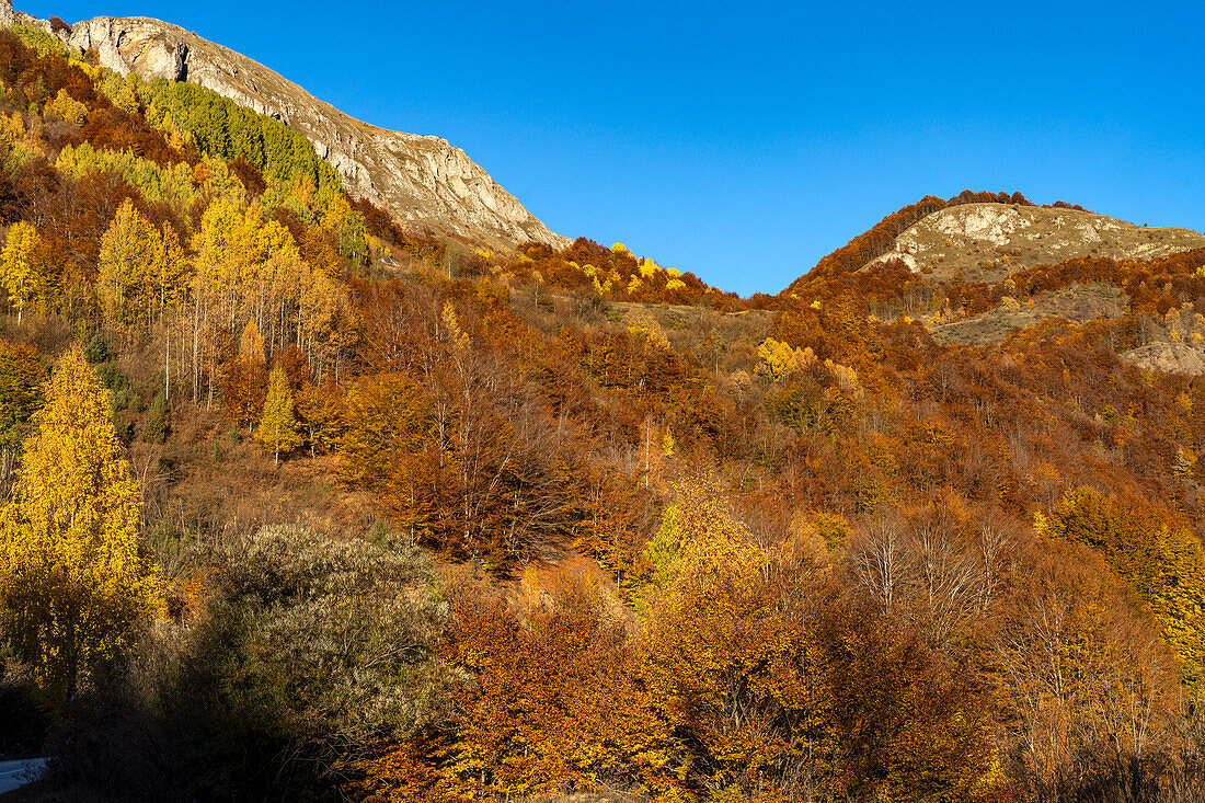 Herbstliche Gebirgslandschaft beim Durmitor Nationalpark,  Montenegro, Europa 