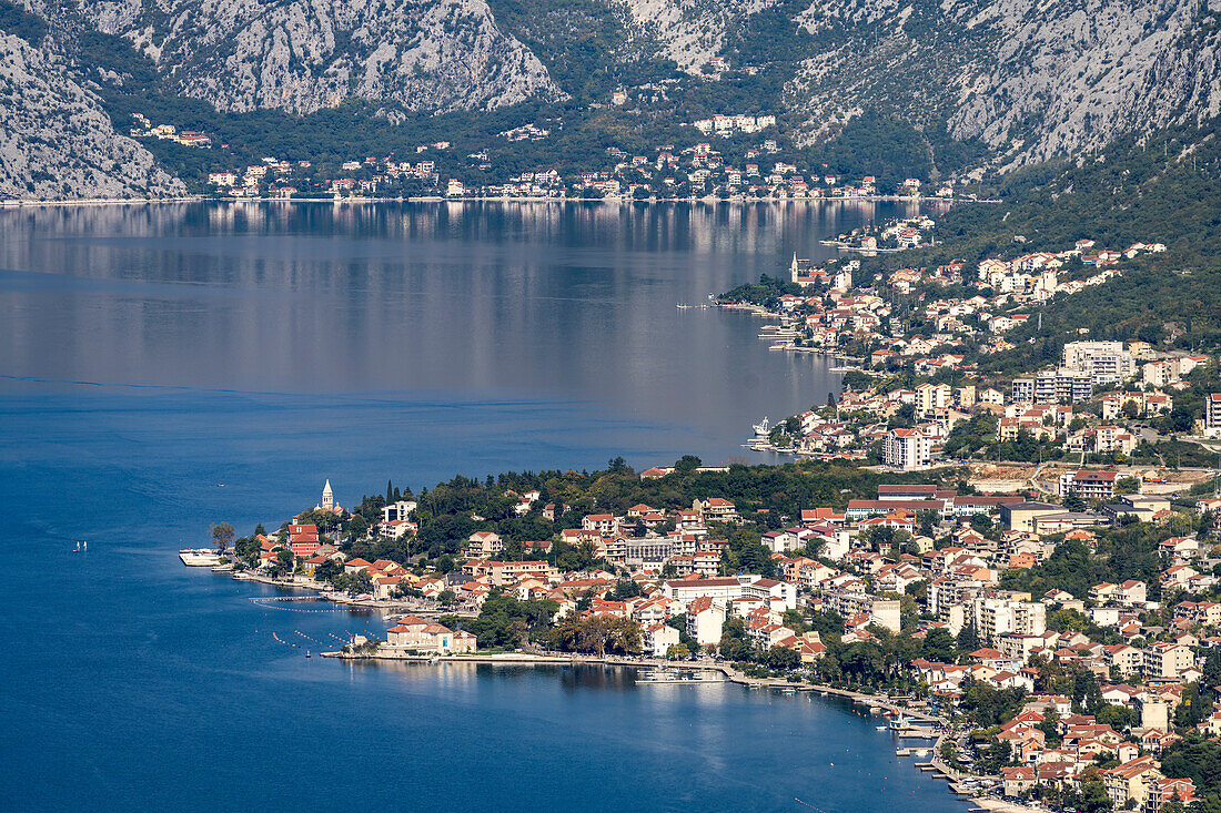 Blick auf Dobrota und die Bucht von Kotor, Montenegro, Europa