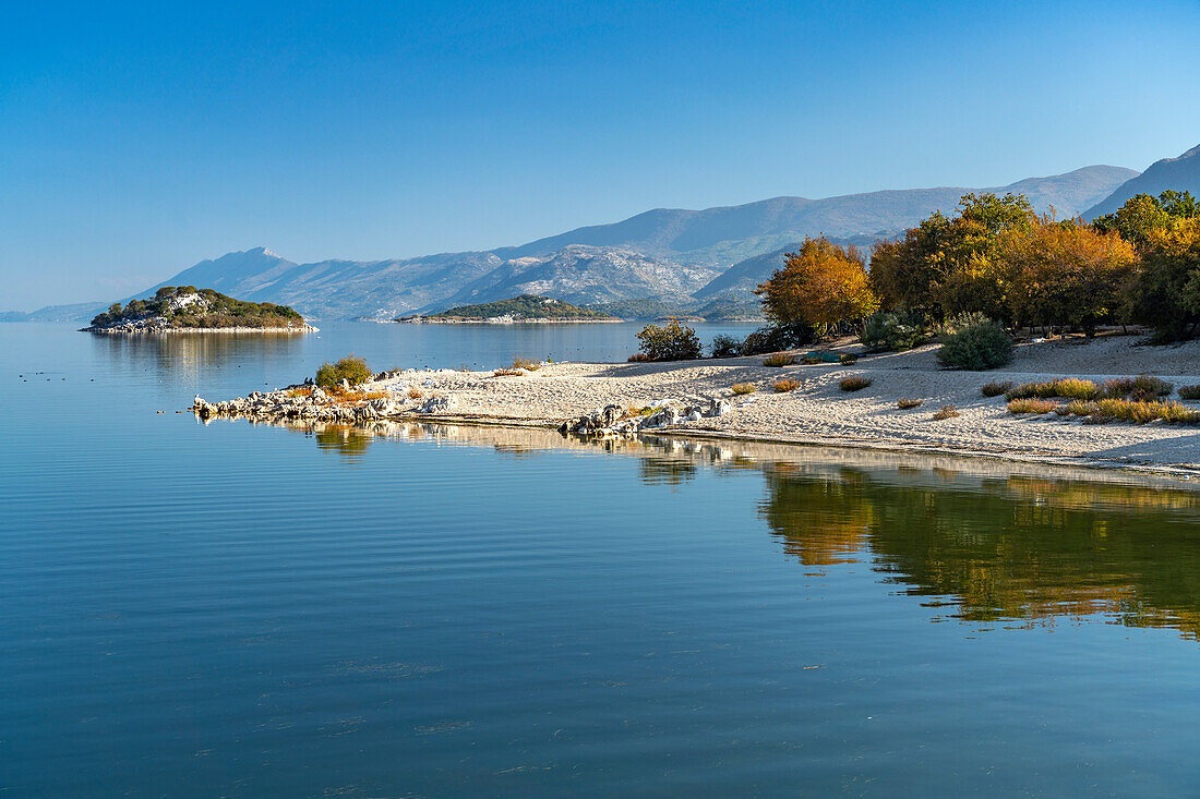 Skutarisee Strand beim Dorf Donji Murici, Montenegro, Europa  