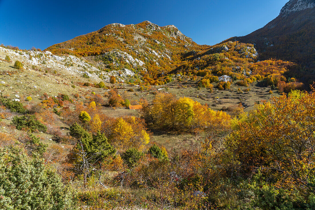 Herbstliche Landschaft beim Lovcen Nationalpark,  Montenegro, Europa