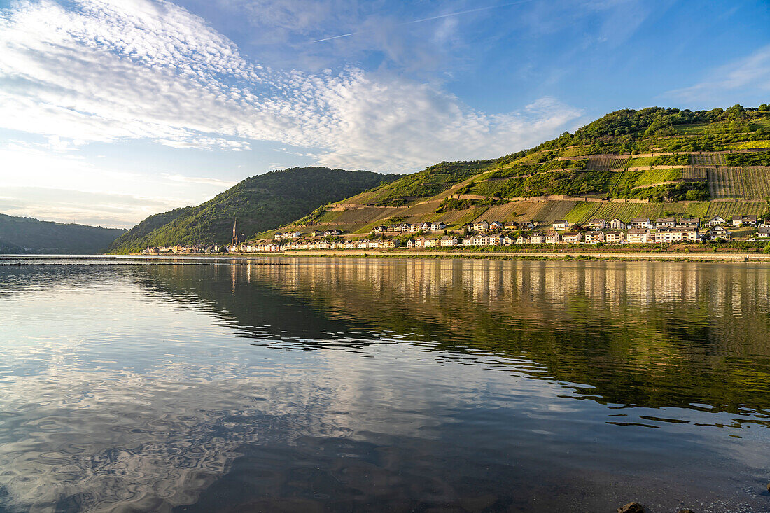 View over the Rhine to Lorch, Rheingau, World Heritage Upper Middle Rhine Valley, Hesse, Germany