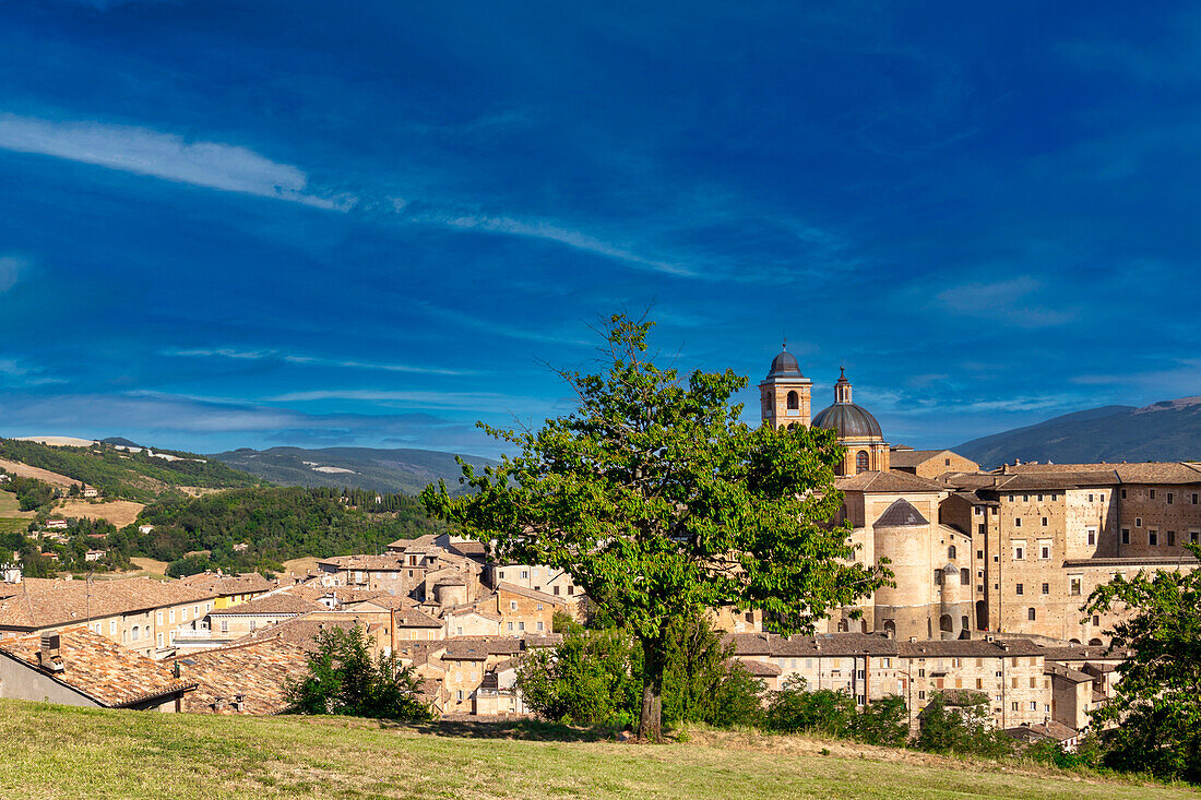 Blick auf das historische Zentrum von Urbino. Urbino, Marken, Italien