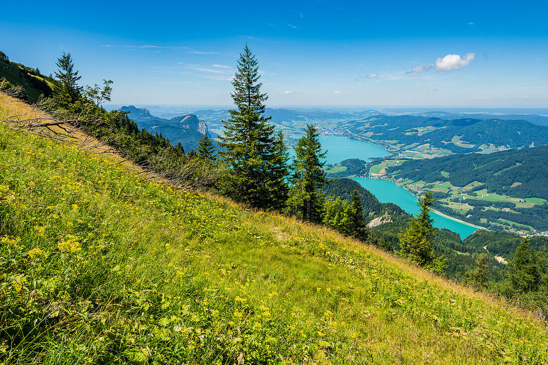 Blick vom Schafberg auf den Mondsee, Salzkammergut, Oberösterreich, Österreich