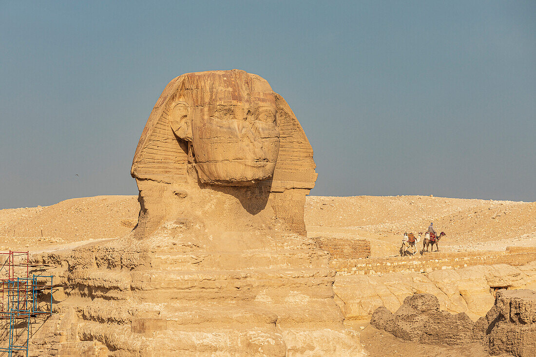 Afrika, Ägypten, Kairo. Gizeh-Plateau. Große Sphinx von Gizeh.