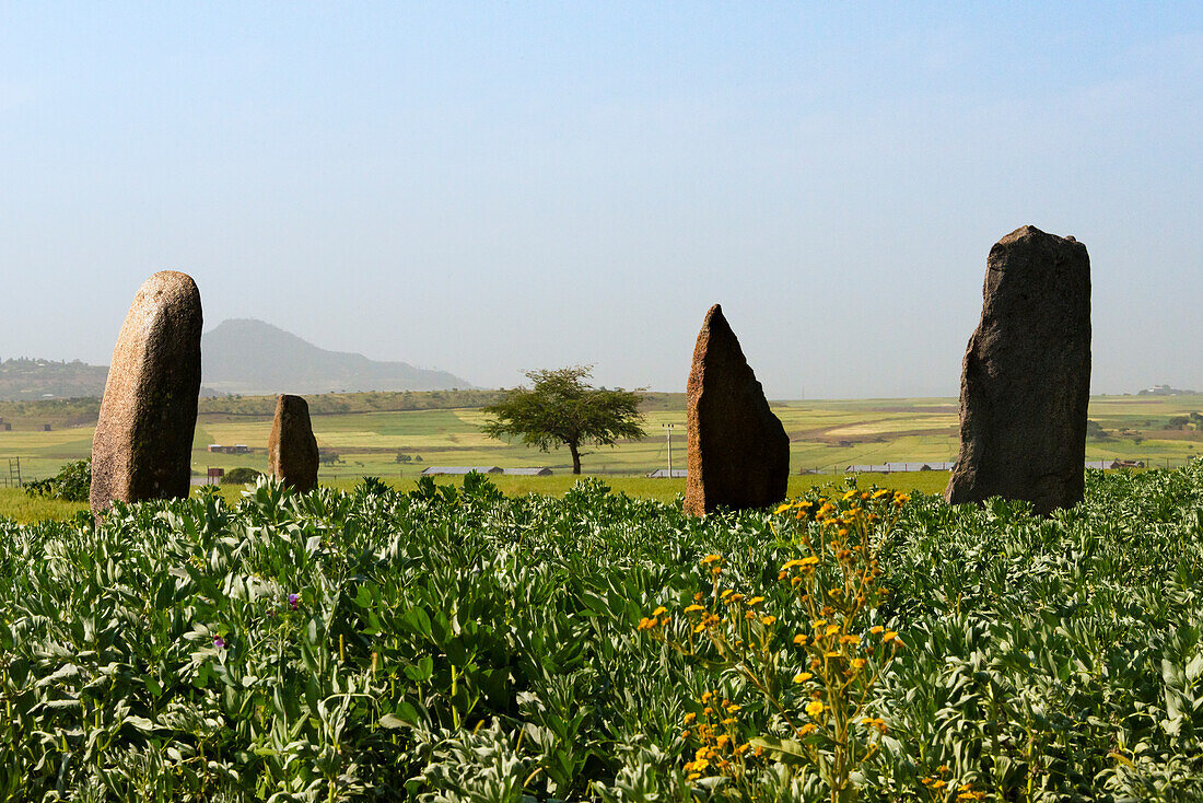 Grave marks at Dungur (Dungur 'Addi Kite) palace ruins, Aksum, Ethiopia