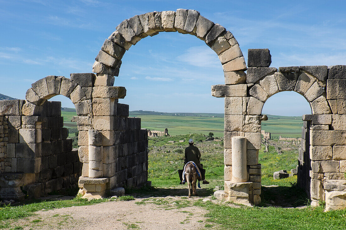 Marokko. Ein Mann auf einem Esel geht unter Steinsäulen und Bögen an den römischen Ruinen von Volubilis vorbei.