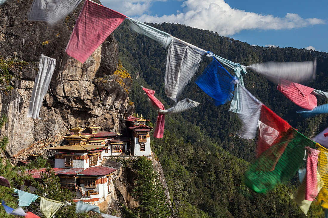 Bhutan, Paro. Gebetsfahnen flattern am Rand der Klippe gegenüber dem Kloster Taktsang oder dem Tigernest.