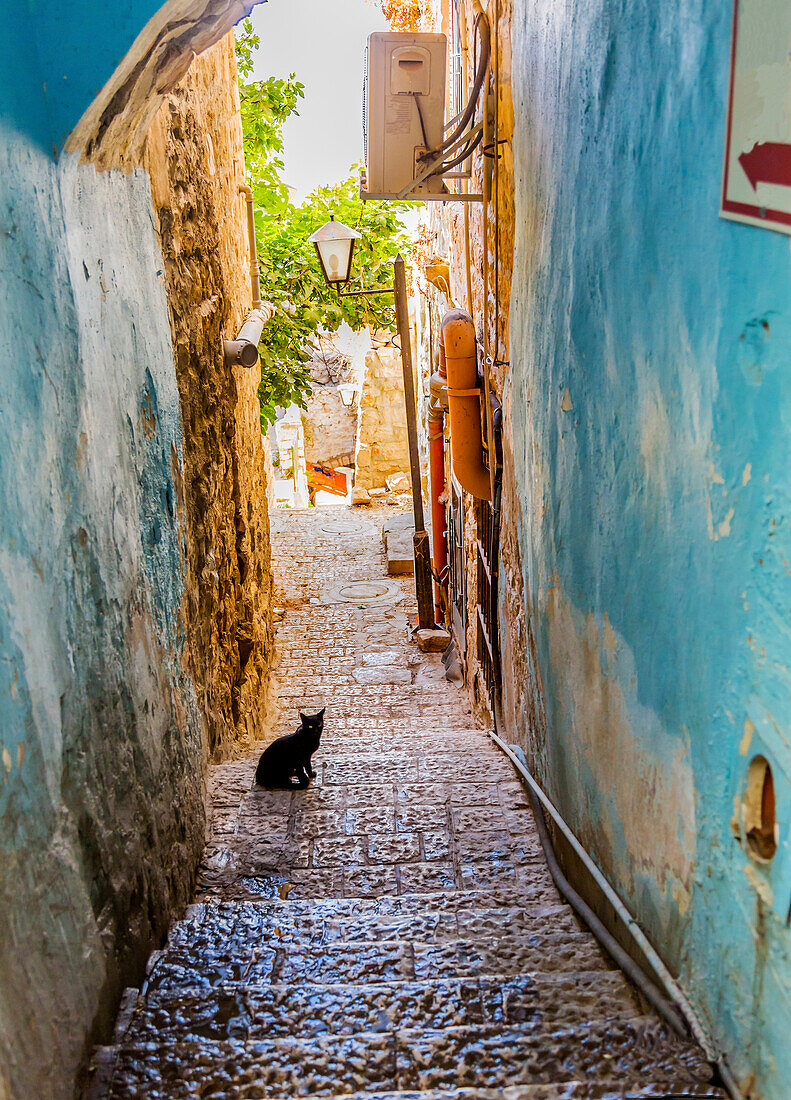 Old Stone Street Alleyway Black Cat Safed Tsefat Israel Many famous synagogues located in Safed.