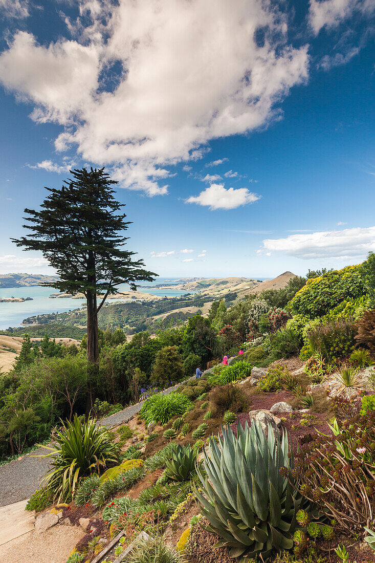 New Zealand, South Island, Otago, Otago Peninsula, Dunedin-area, Larnach Castle Gardens