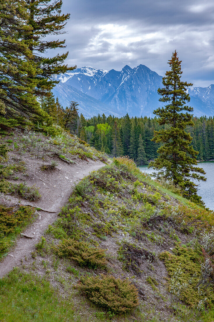 Banff National Park, Alberta, Canada. Path around Lake Louise.