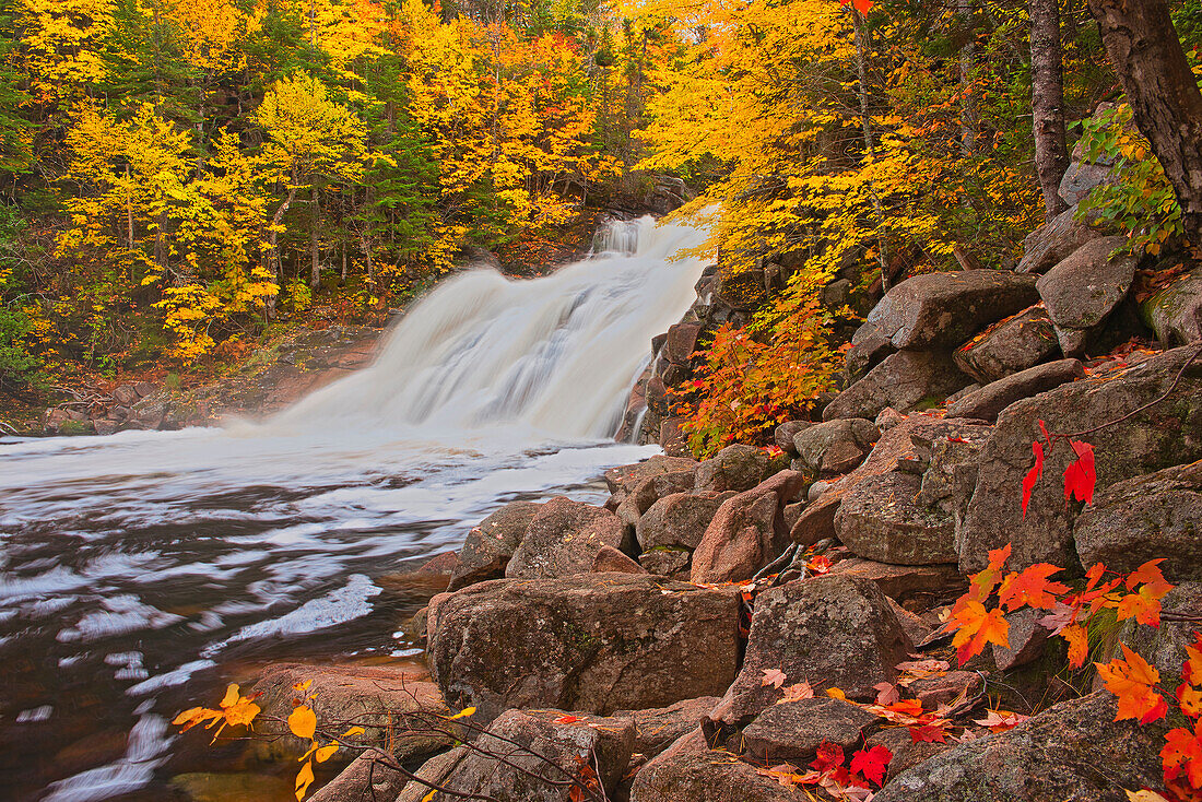 Canada, Nova Scotia. Mary-Anne Falls and forest in autumn foliage