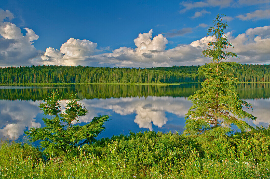 Kanada, Ontario. Wolken spiegeln sich im Trail Lake wider