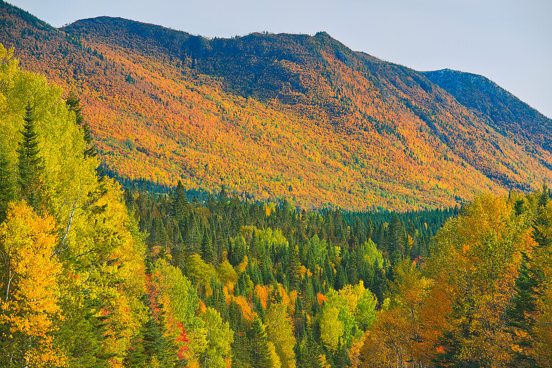 Kanada, Quebec, Parc National de la Gaspesie. Herbstfarben in den Chic-Choc-Bergen