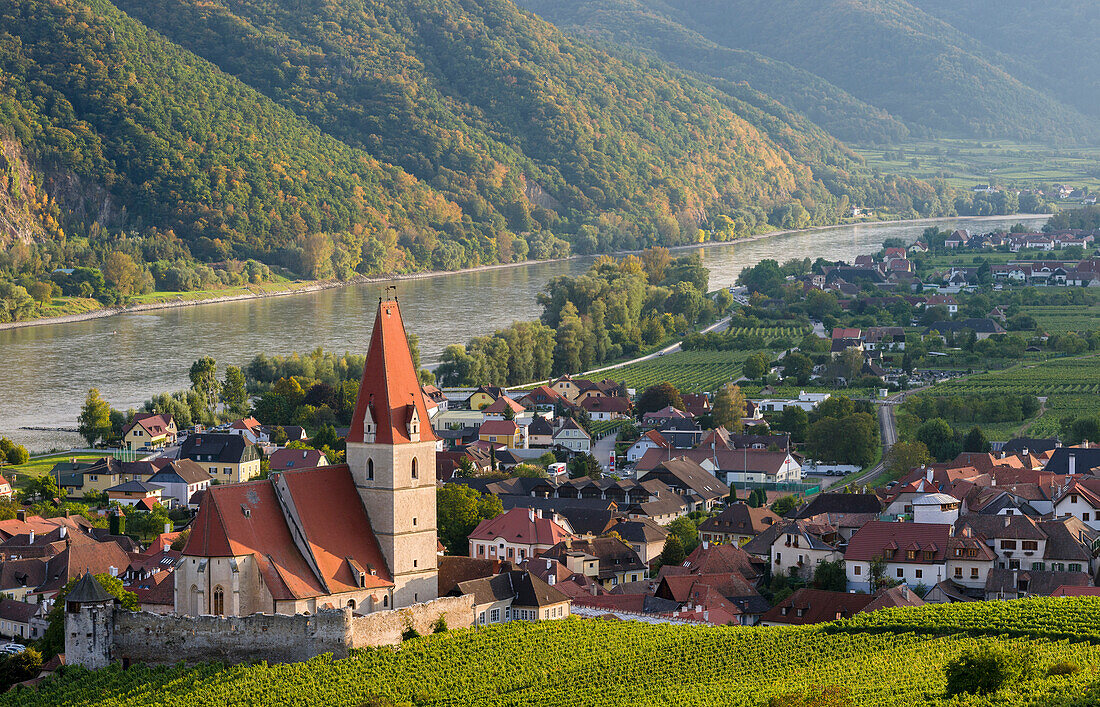 Medieval Town Of Weissenkirchen In The Wachau, With Fortified Church Mariae Himmelfahrt. The Wachau Is A Famous Vineyard And Listed As Wachau Cultural Landscape As Unesco World Heritage. Europe, Central Europe, Austria, Lower Austria