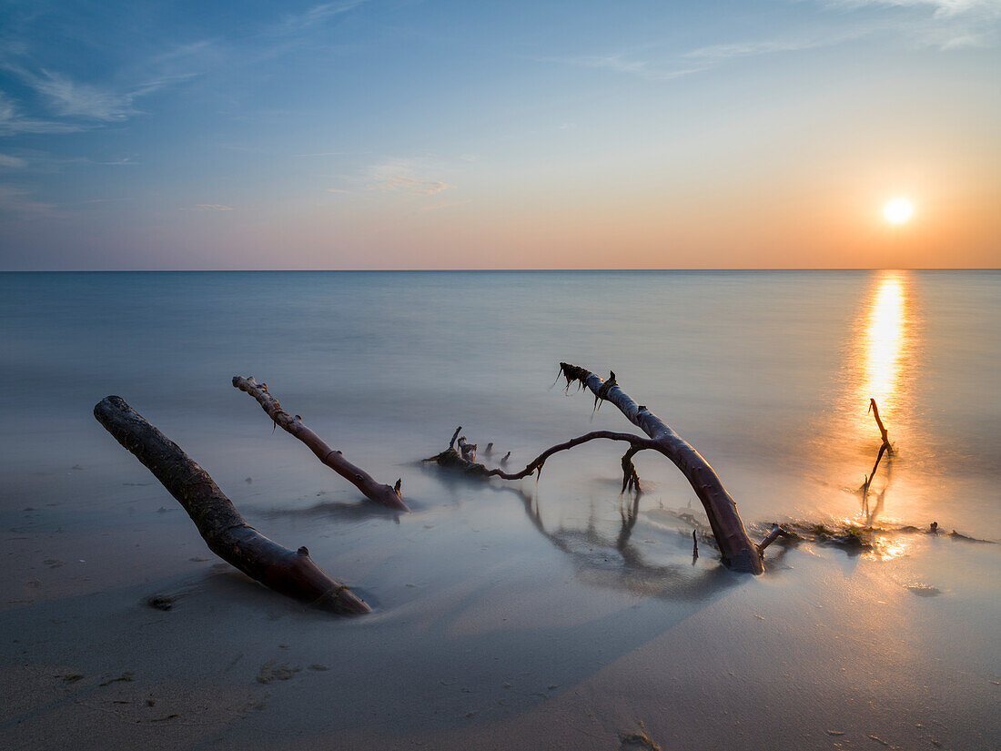 The Weststrand (western beach) on the Darss Peninsula. The beach and the coastal forest is eroded by storms. West-Pomerania Lagoon Area