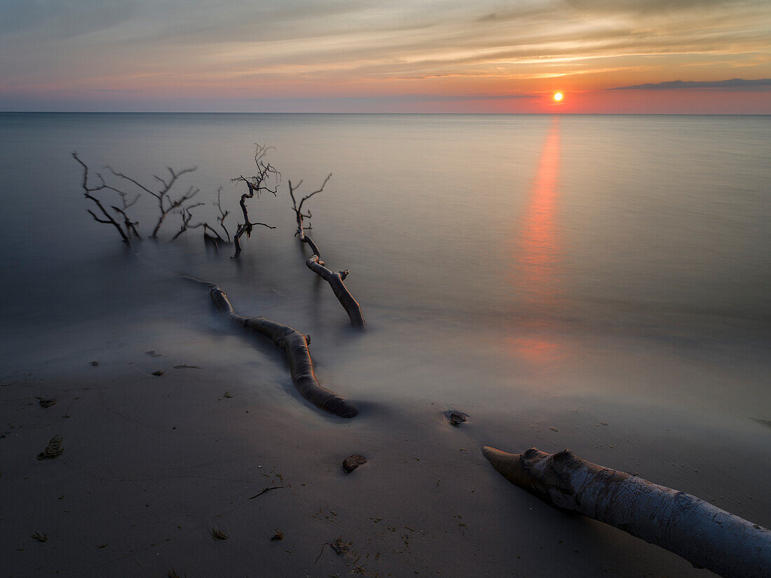 Der Weststrand auf der Halbinsel Darß. Der Strand und der Küstenwald werden von Stürmen erodiert. Vorpommersche Boddenlandschaft