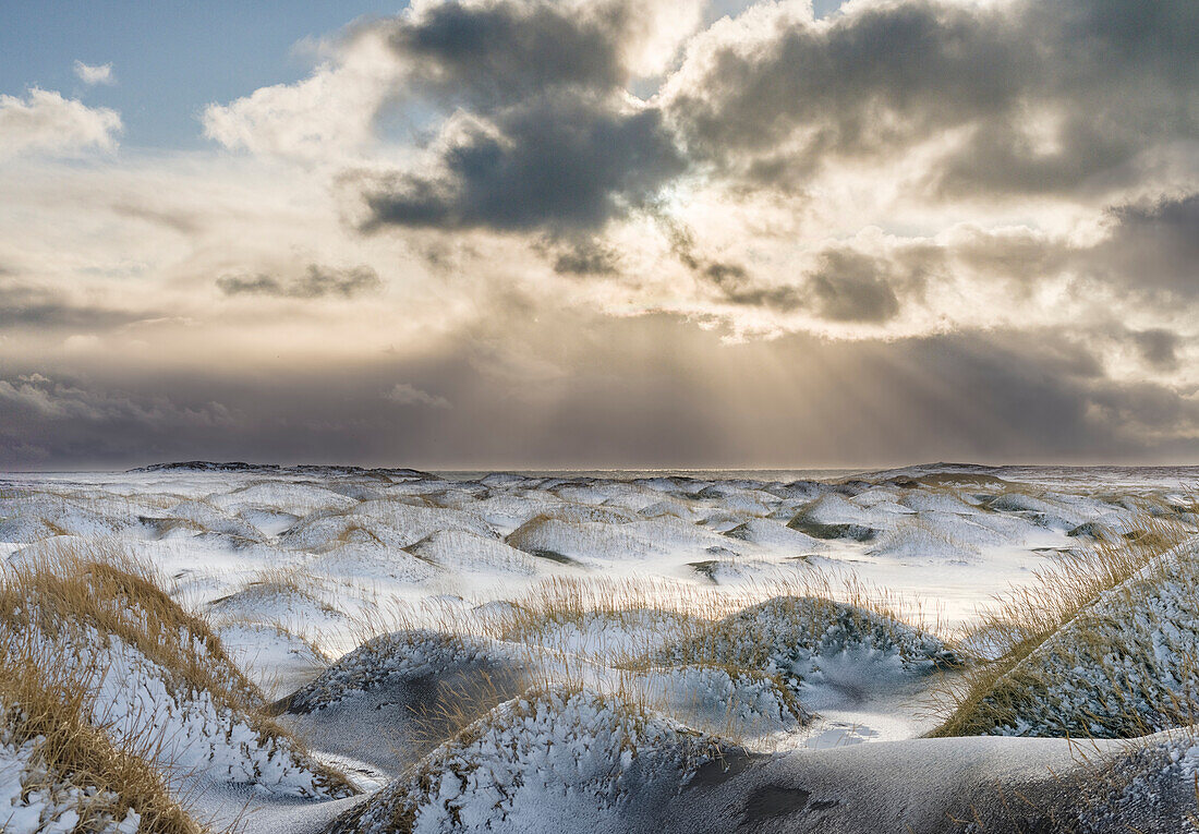 Küstenlandschaft mit Dünen am berühmten Stokksnes im Winter und bei stürmischem Wetter. Island.