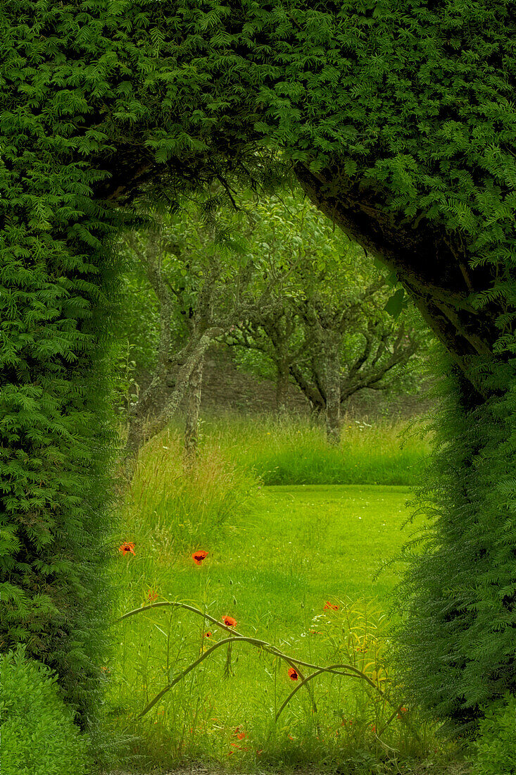 Europa, Irland. Garten bei Ardmore Castle