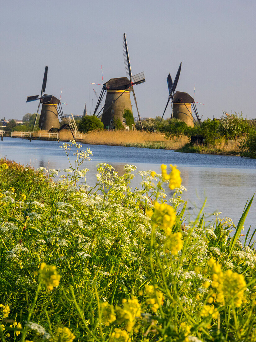 Niederlande, Kinderdijk, Windmühlen mit Abendlicht entlang der Kanäle von Kinderdijk