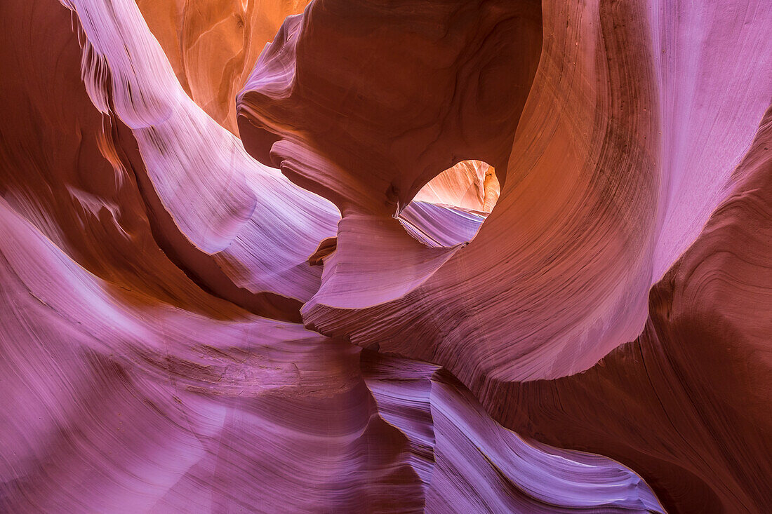 USA, Arizona. Colorful sandstone erosion of lower Antelope Canyon near Lake Powell