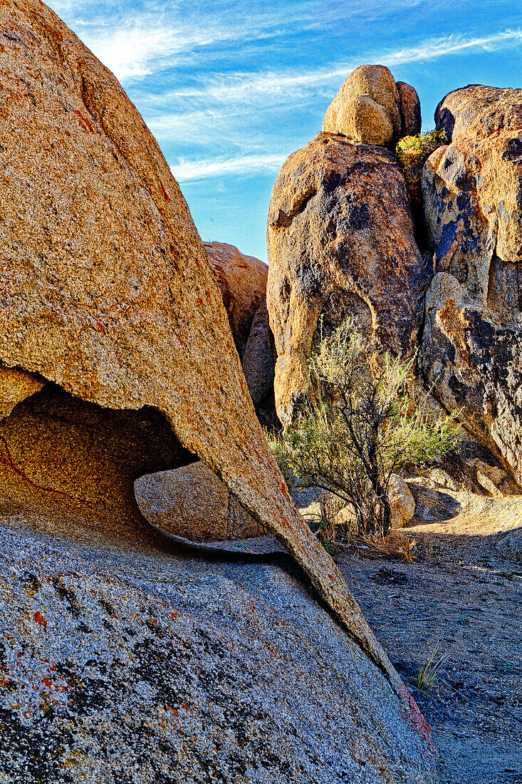 USA, Alabama Hills, Kalifornien. Lange Kiefer