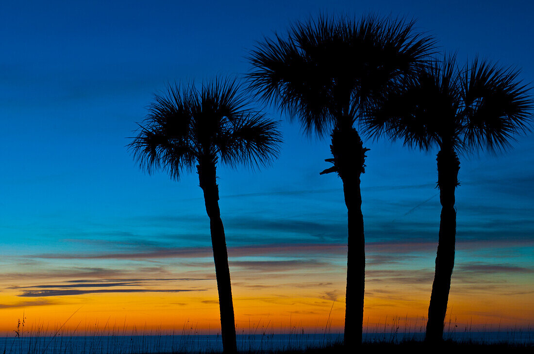 USA, Florida, Sarasota, Crescent Beach, Siesta Key. Sonnenuntergang und Palmen