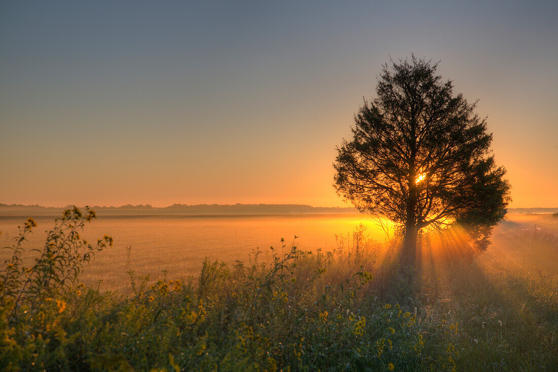 Sunrise at Prairie Ridge State Natural Area, Marion County, Illinois
