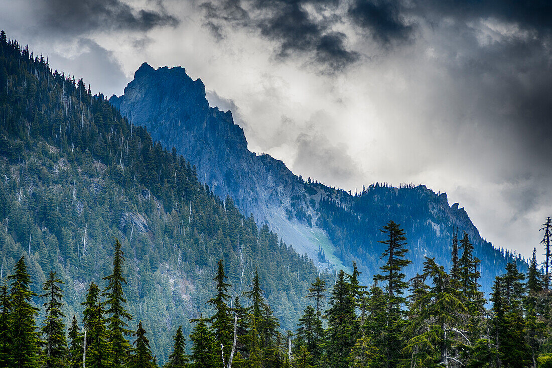 Rauchige Wolken und Klippen, Quinault River Trail, Olympic National Park, Washington State