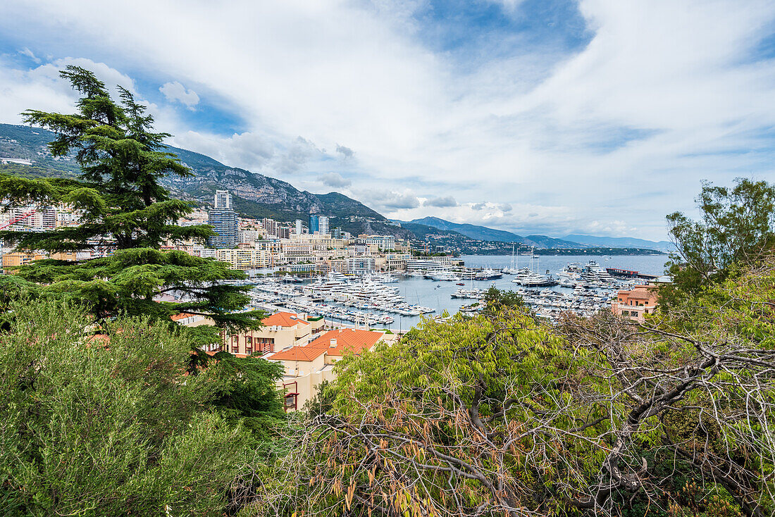 Blick auf den Yachthafen Port Hercule im Fürstentum Monaco