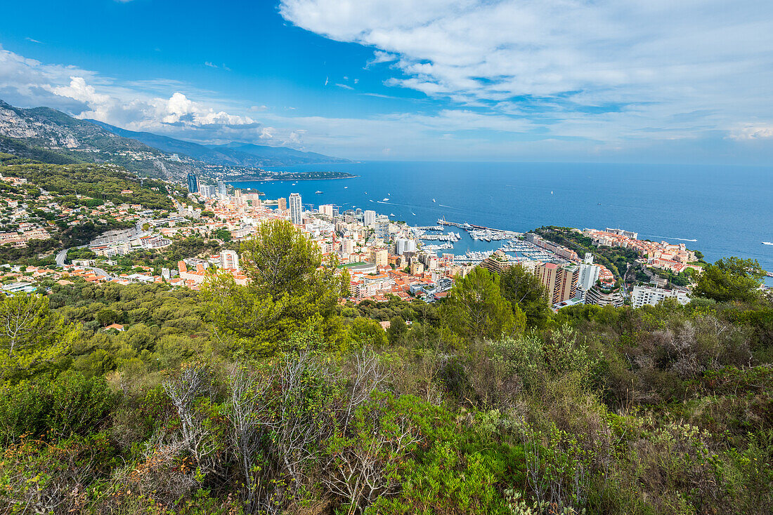 View of the Principality of Monaco and the Côte d'Azur, Principality of Monaco