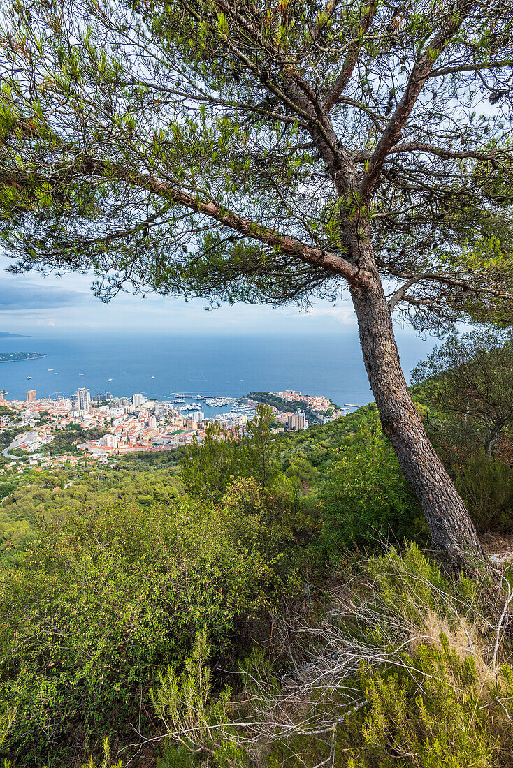 Blick auf das Fürstentum Monaco und die Côte d’Azur, Fürstentum Monaco