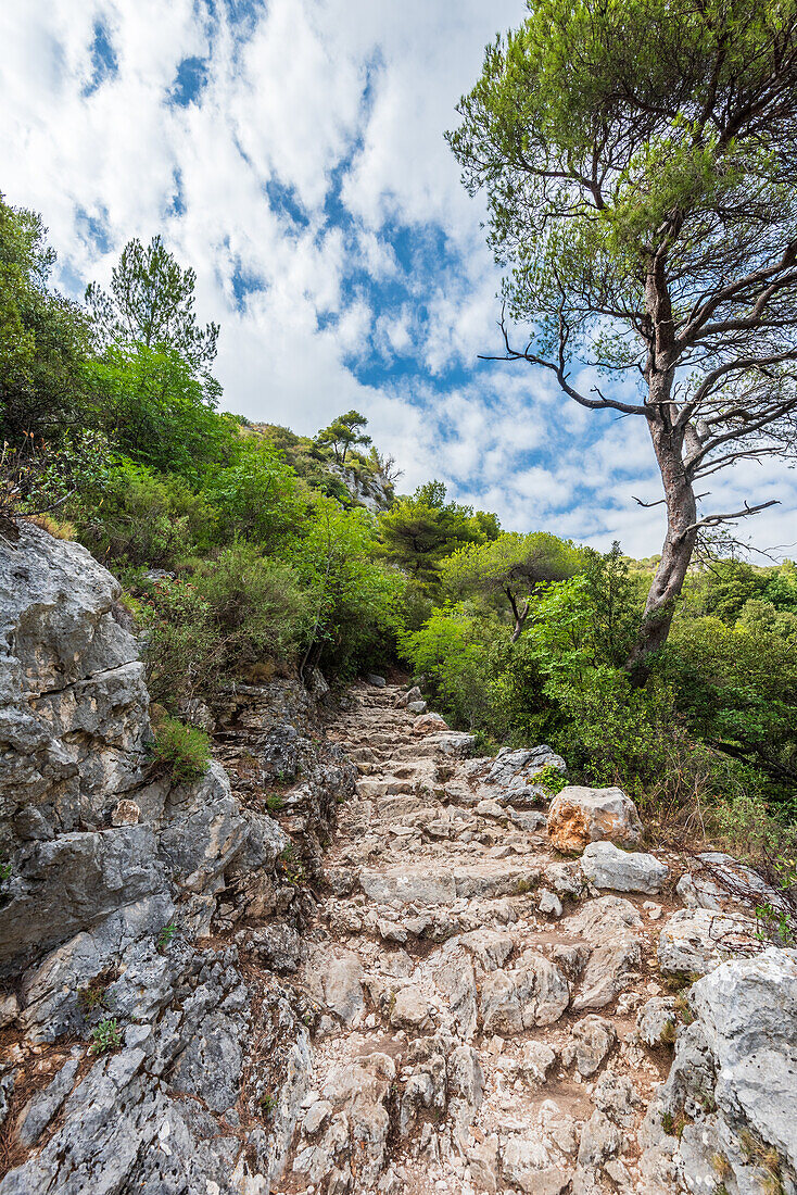 Wanderweg Chemin de Nietzsche zum Bergdorf Èze Village in den französichen Seealpen, Provence, Frankreich