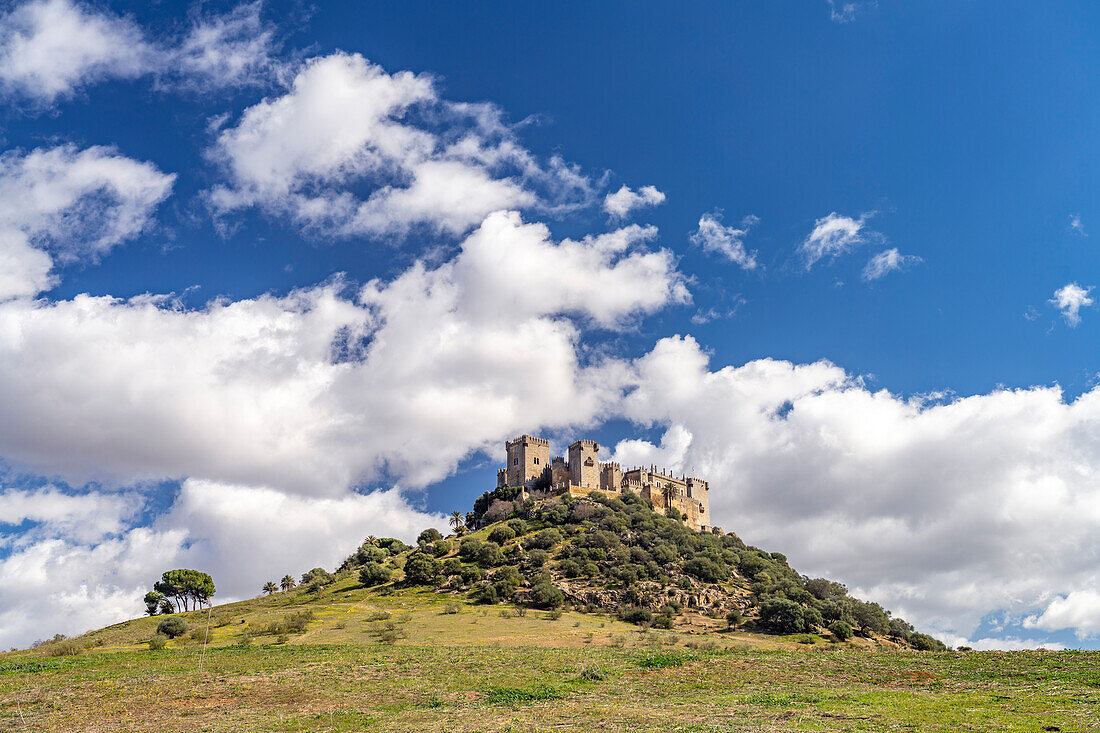 Die Burg Castillo de Almodóvar del Río, Andalusien, Spanien