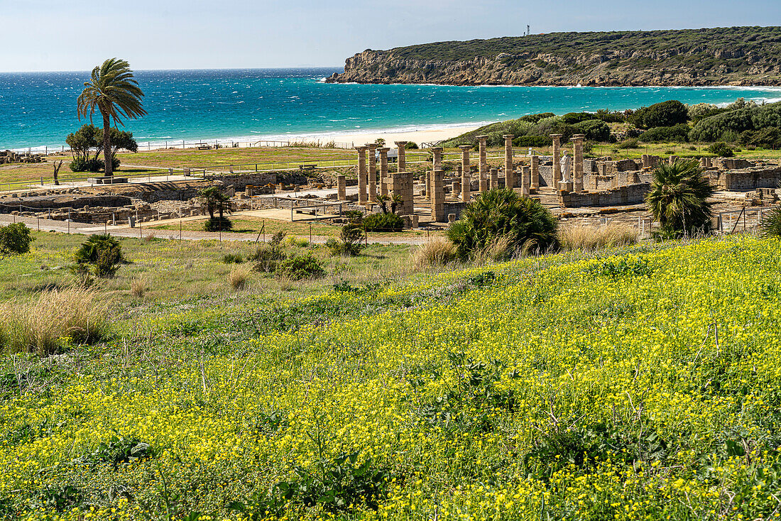 Die römische Ruinen von  Baelo Claudia an der Küste bei Bolonia, Tarifa, Costa de la Luz, Andalusien, Spanien 