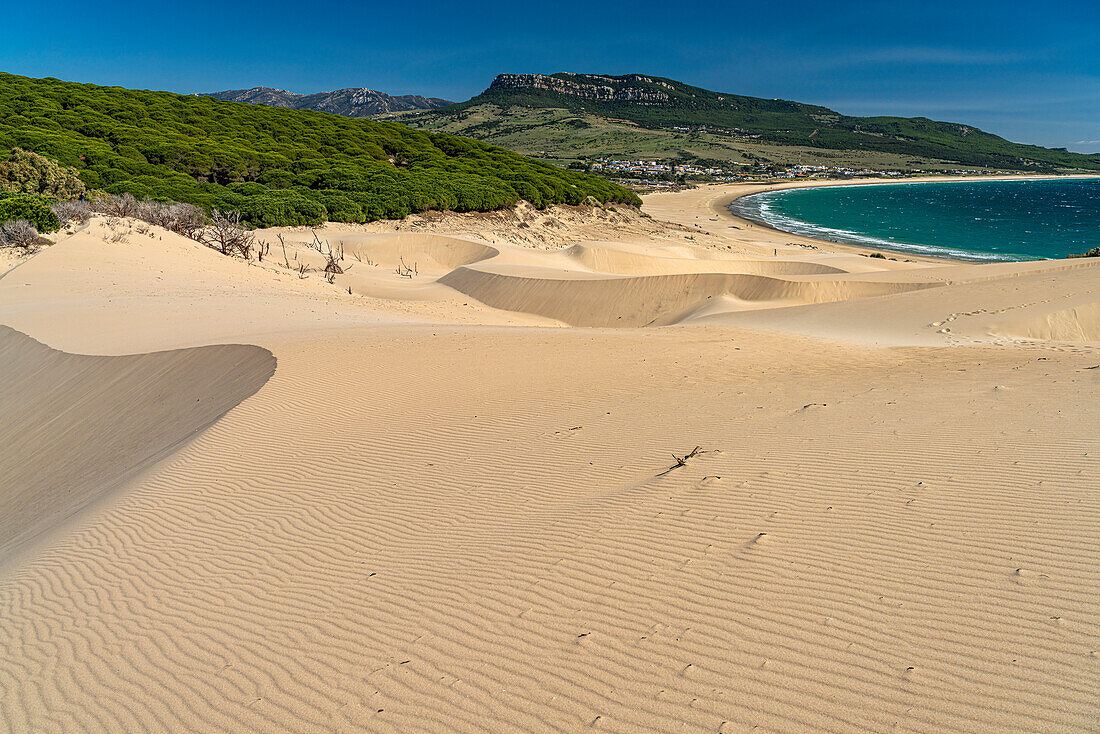 The beach and dunes of Bolonia, Tarifa, Costa de la Luz, Andalucia, Spain