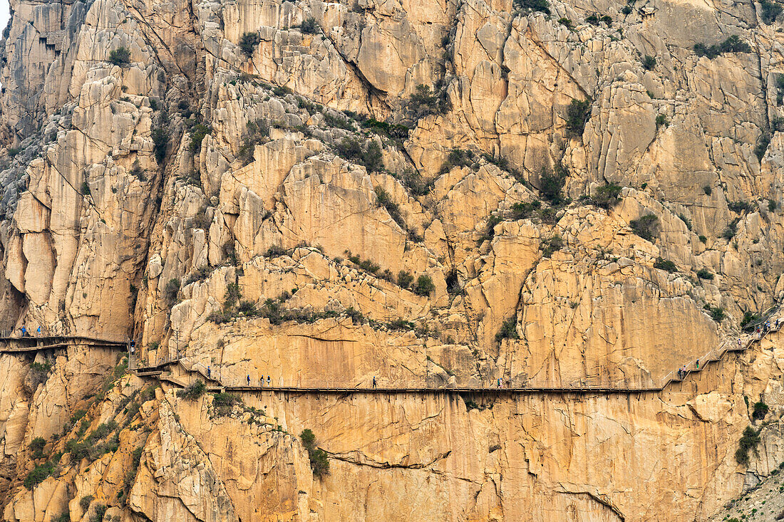 Klettersteig Caminito del Rey hoch in den Felsen bei  El Chorro, Andalusien, Spanien 