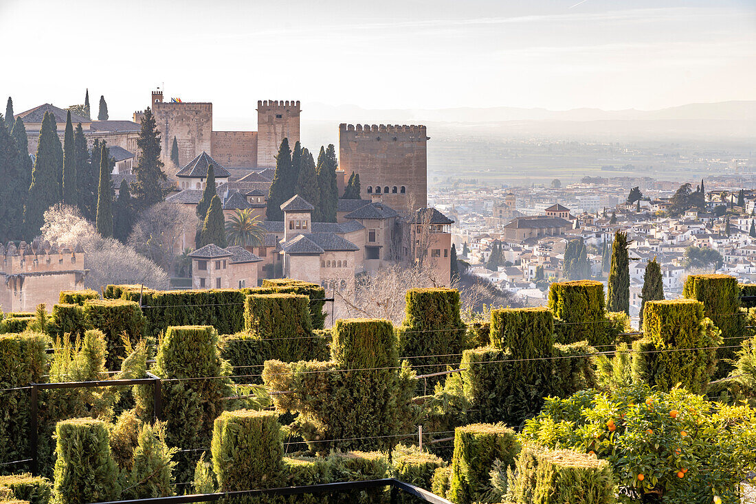 View from the Generalife of the Alhambra and the city of Granada, Andalusia, Spain