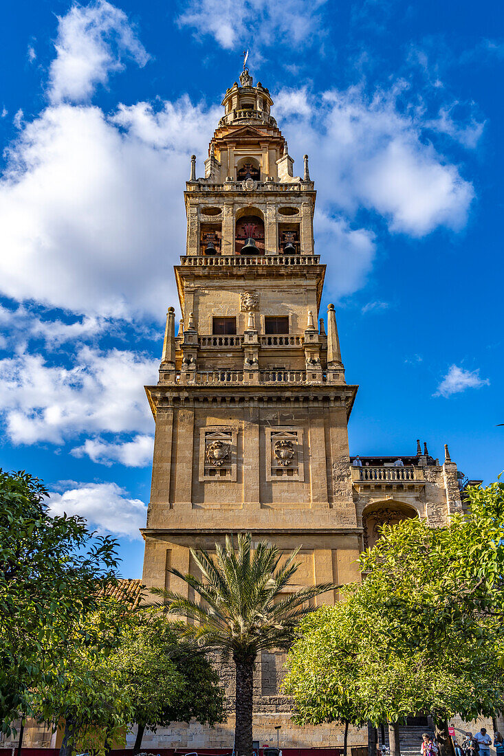 Glockenturm der Mezquita - Catedral de Córdoba in Cordoba, Andalusien, Spanien  