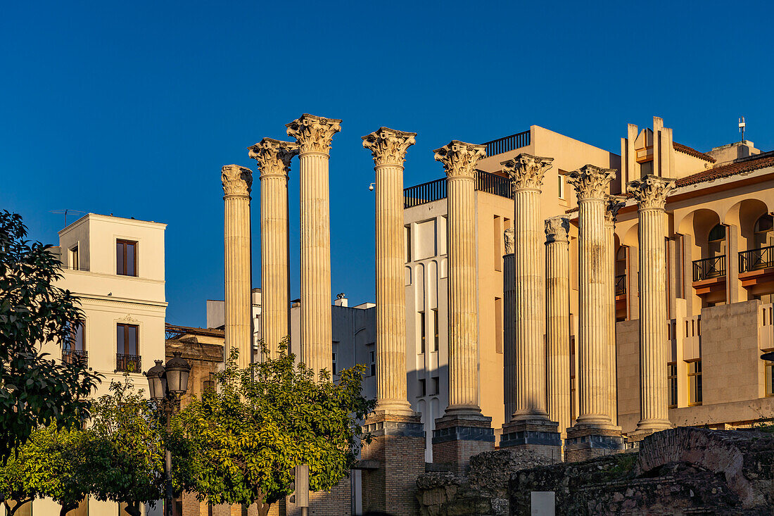 Ruins of a Roman temple, Templo Romano, Cordoba, Andalusia, Spain