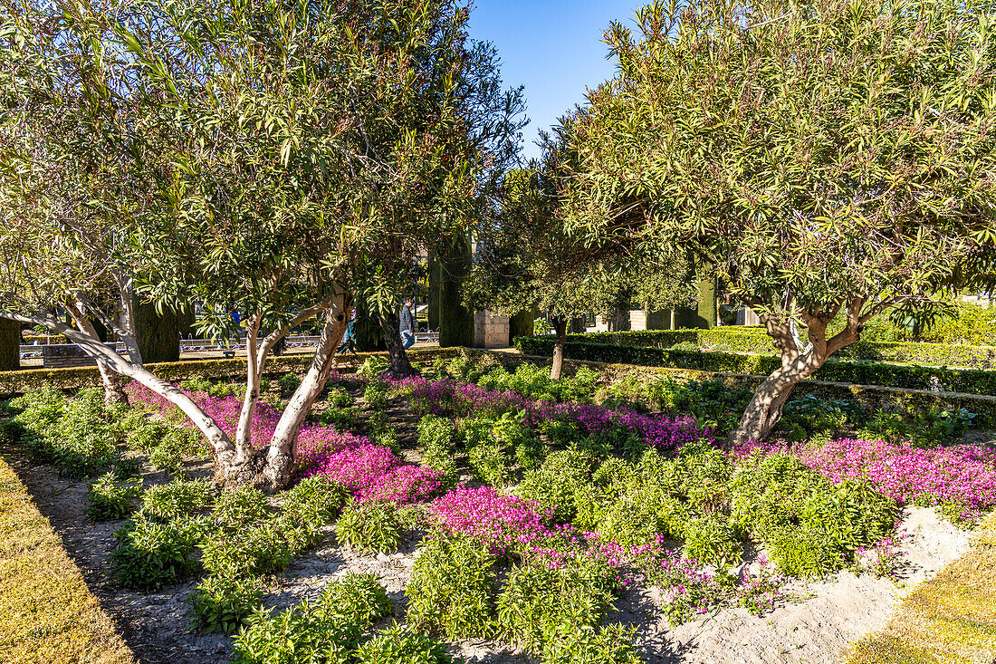 Gardens of the Palace, Alcazar de los Reyes Cristianos in Cordoba, Andalusia, Spain