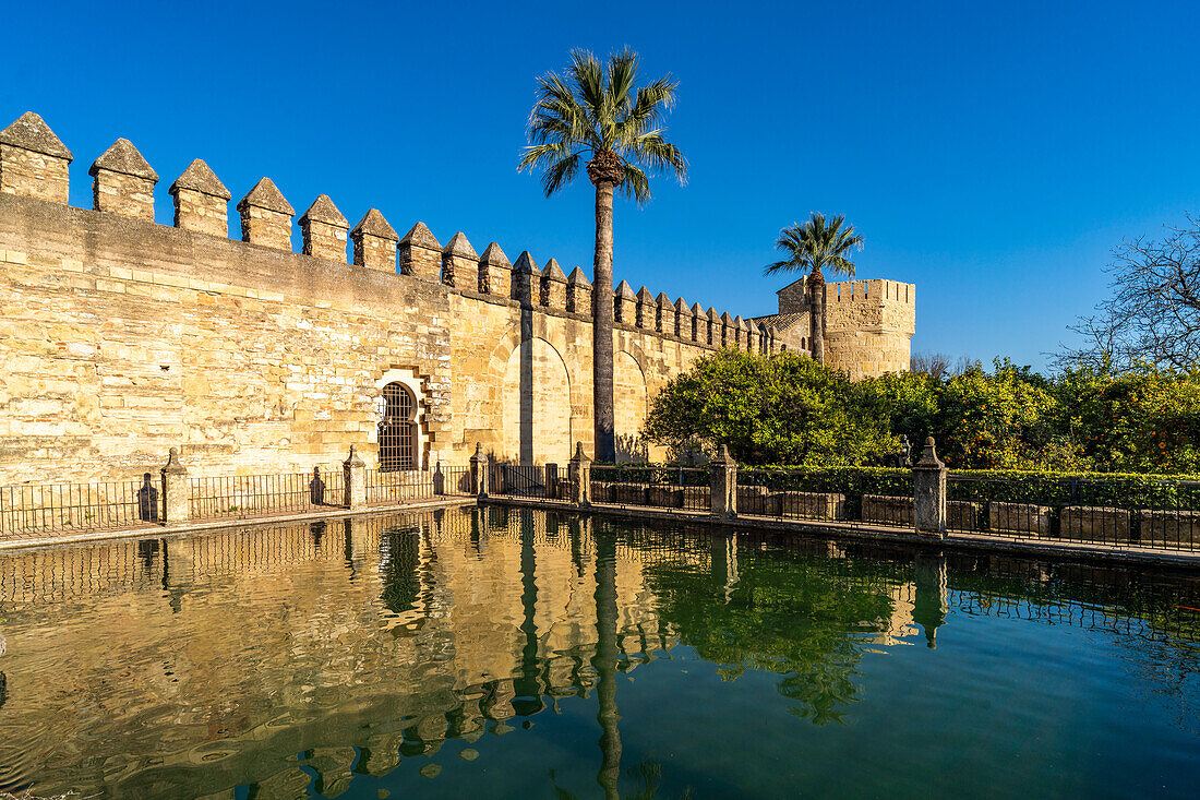Wasserbecken und Mauern des Palastes, Alcázar de los Reyes Cristianos in Cordoba, Andalusien, Spanien 