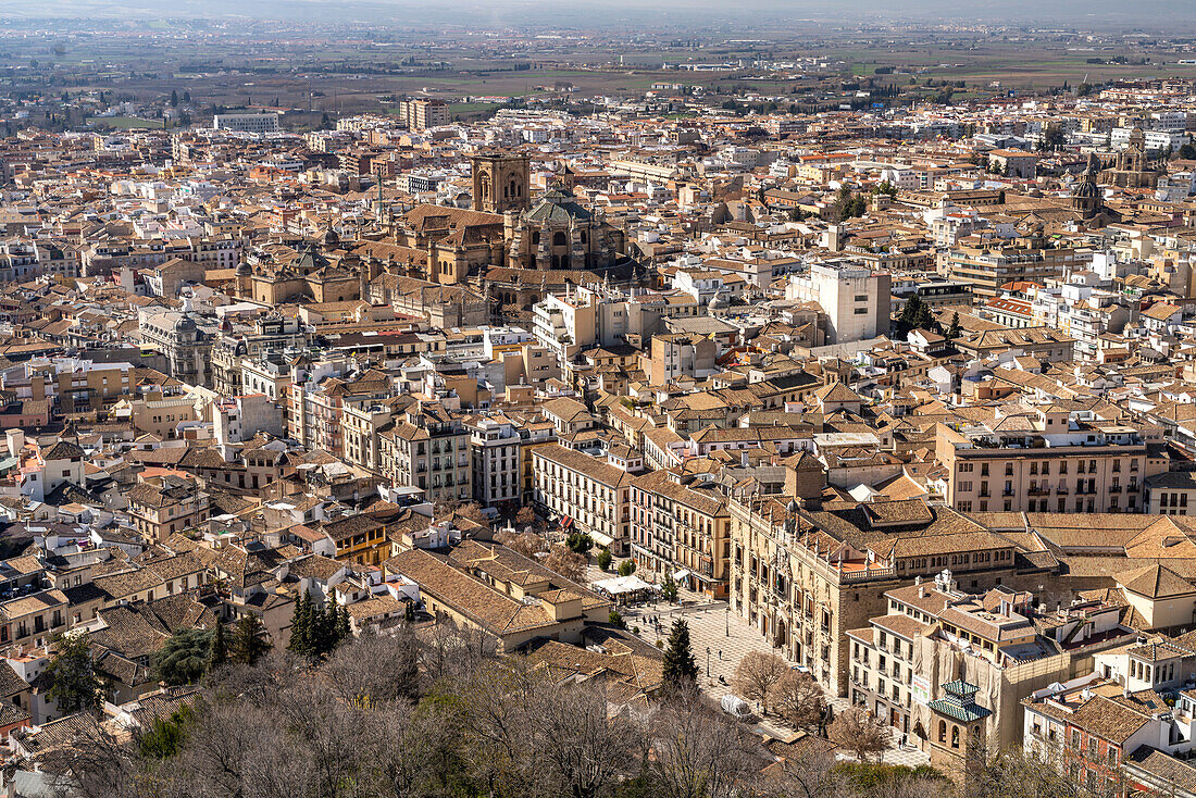 Blick auf die Altstadt mit dem Platz Plaza Nueva und Kathedrale in Granada, Andalusien, Spanien