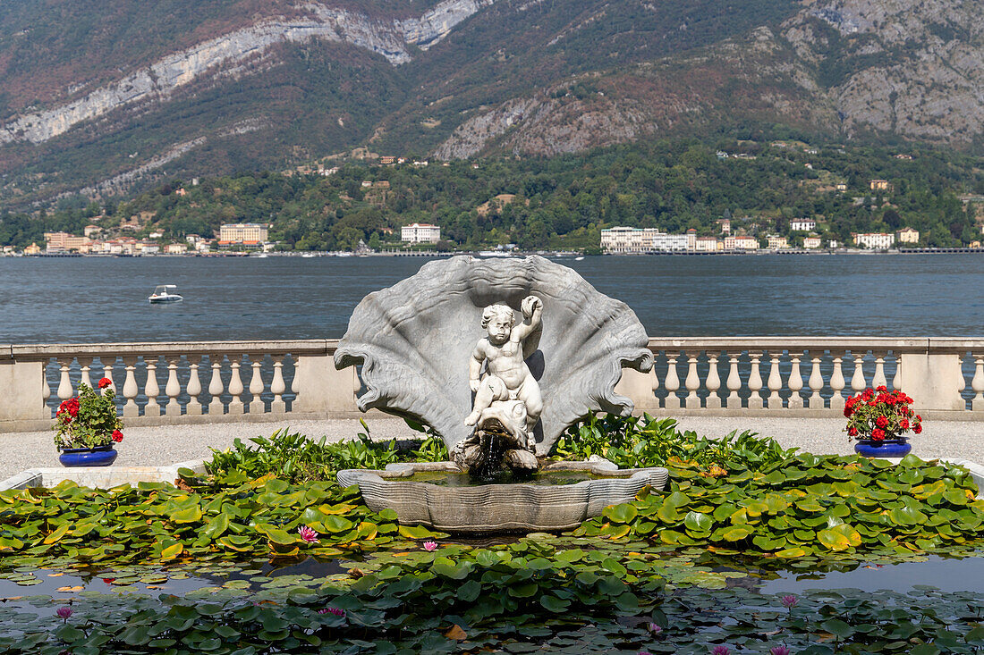 Water lily plants in the gardens of Villa Melzi, Bellagio, Como Lake, Lombardy, Italy