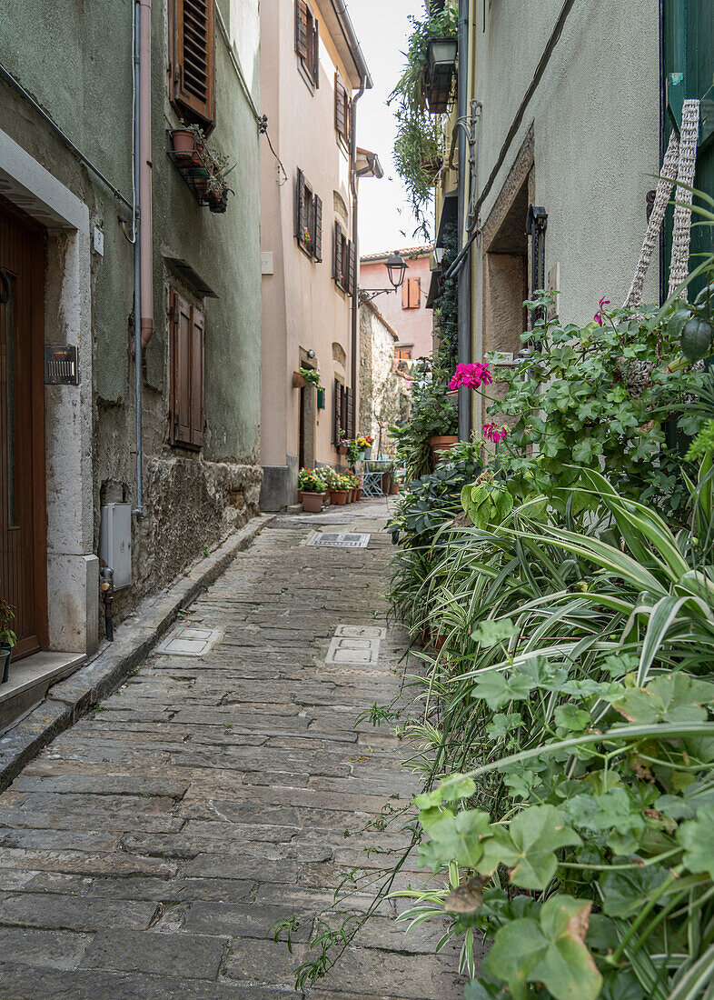 In the alleys of Muggia, Friuli Venezia Giulia, Italy.