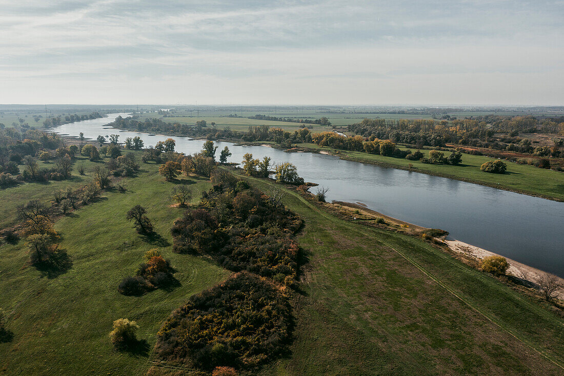 Flussverlauf der Elbe, Überflutungsgebiet der Elbe, Elbauen, Rogätz, Sachsen-Anhalt, Deutschland