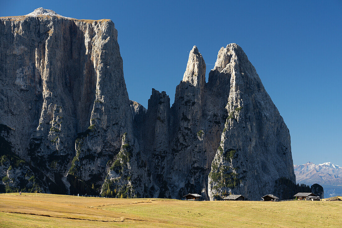 Der Schlern über der Seiseralm, Dolomiten, Südtirol, Italien