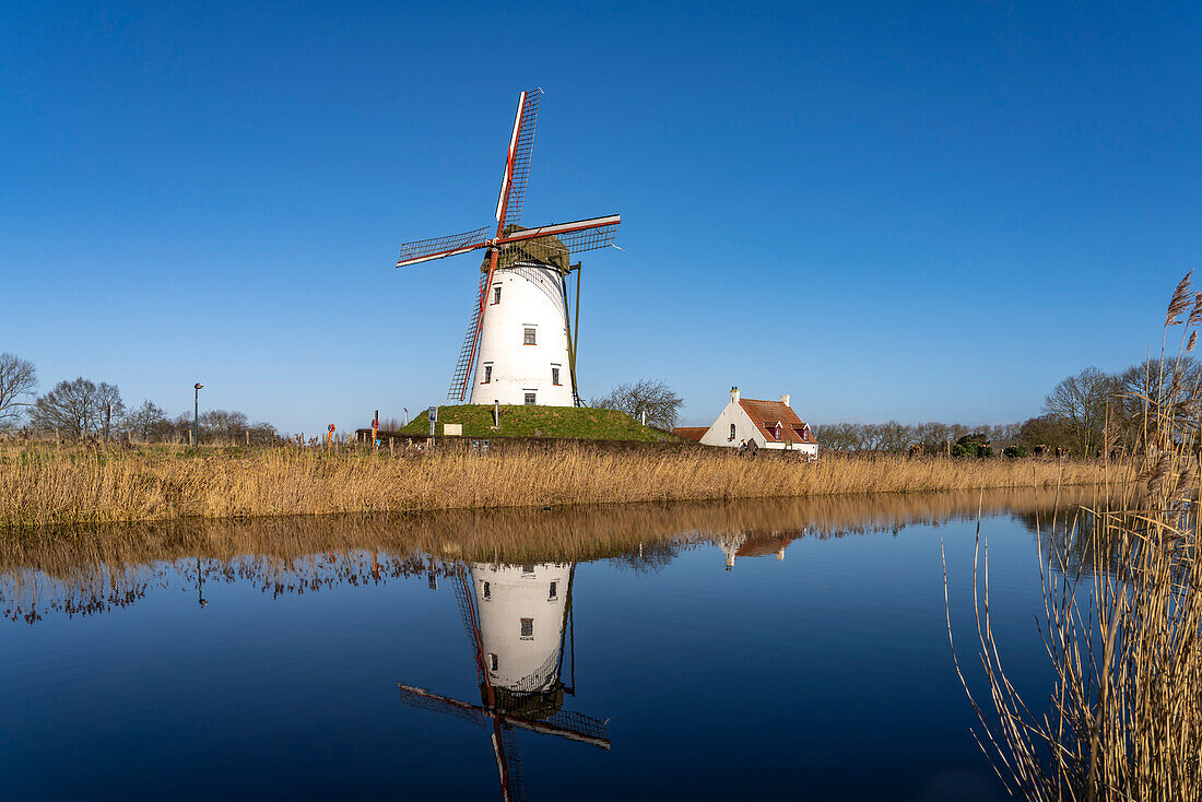 Windmill de Schellemolen in Damme, West Flanders, Belgium, Europe