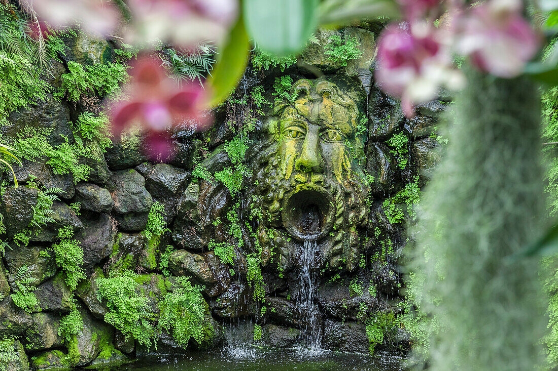 Brunnen in der Orchideengrotte im Garten La Mortella in Forio, Insel Ischia, Golf von Neapel, Kampanien, Italien